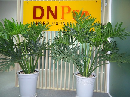 1375423957_thanhxuan