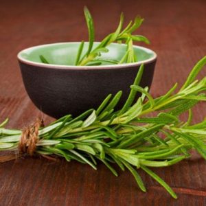 Cây hương thảo - Rosemary