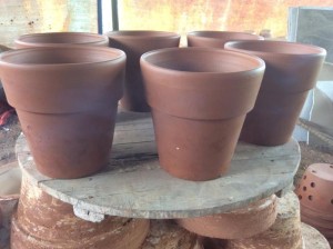 chau-dat-nung-co-9-9