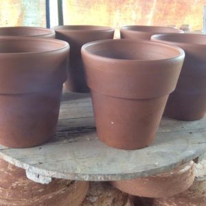 Chậu đất nung trồng sen đá