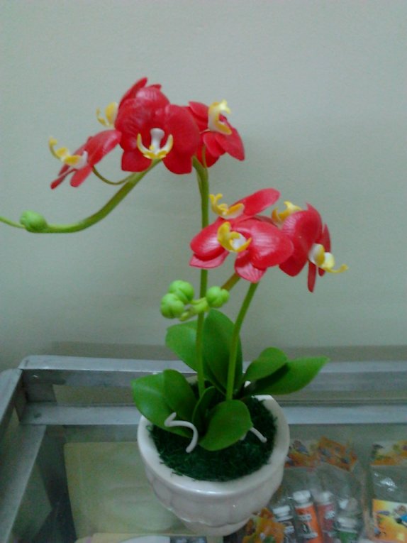 hoa lan hồ điệp đỏ2