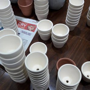 chậu đất nung trắng