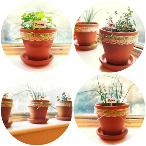 Các loại chậu đất nung đẹp2