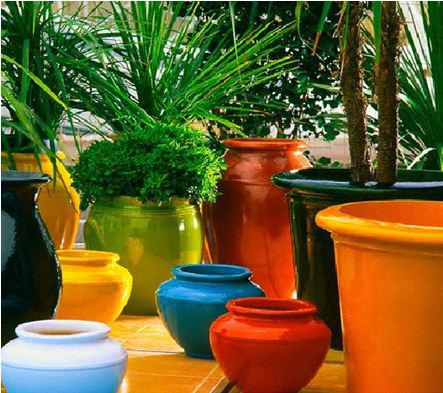 chậu đất nung trắng và đỏ4