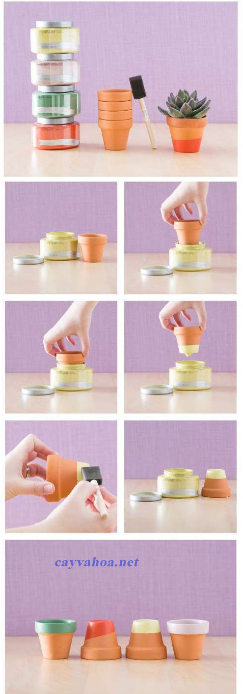 chậu đất nung trắng và đỏ1