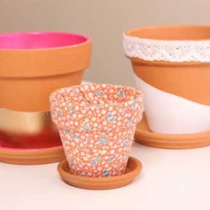 chậu đất nung trắng và đỏ