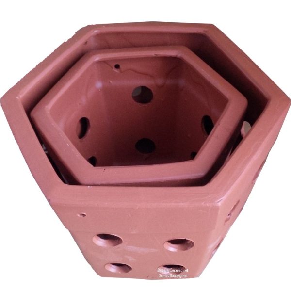 bán châụ đất nung trồng lan