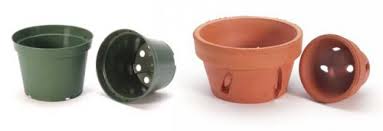 chậu đất nung trồng lan