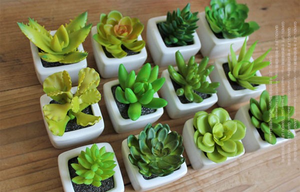 chậu sứ nhỏ đẹp3