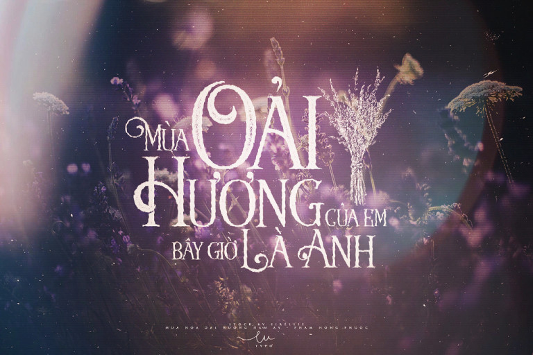 thơ về hoa oải hương