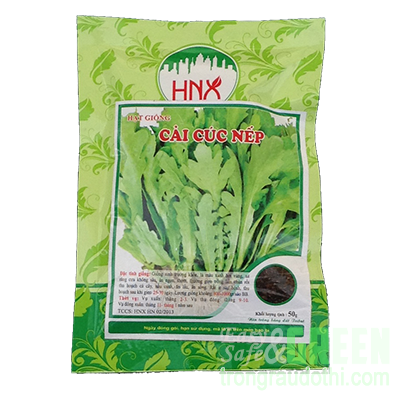 hạt giống rau cải nếp cúc