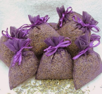 tui thơm hoa oai huong