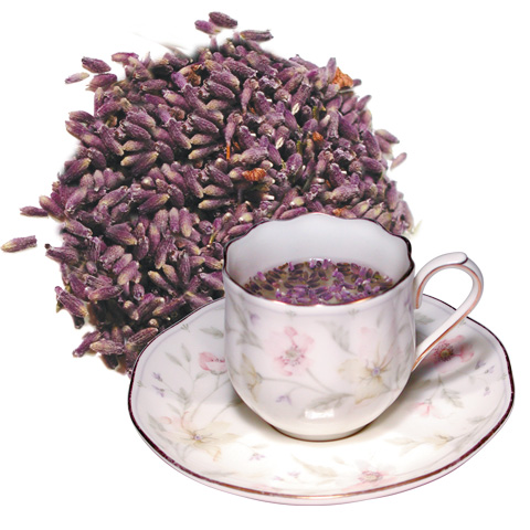 Ý nghĩa hoa oải hương trong tình yêu6