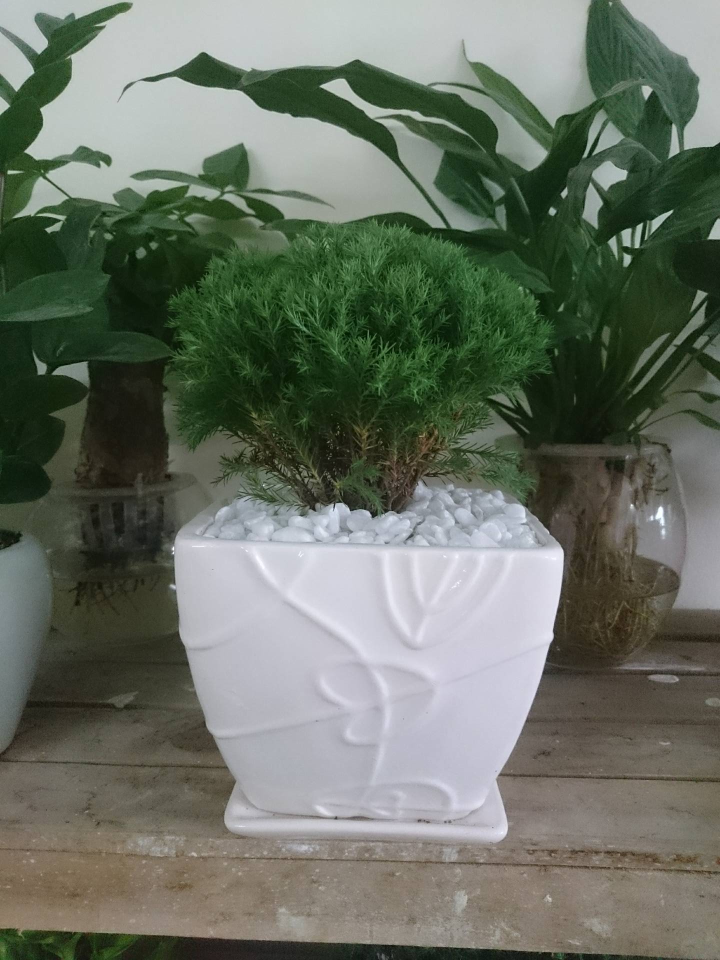 15152322_807086652764823_378839430_o