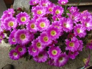 xc6b0c6a1ng-re1bb93ng_-105