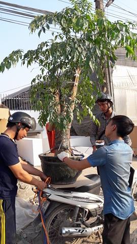 15941574_1602096349806667_66325527_n