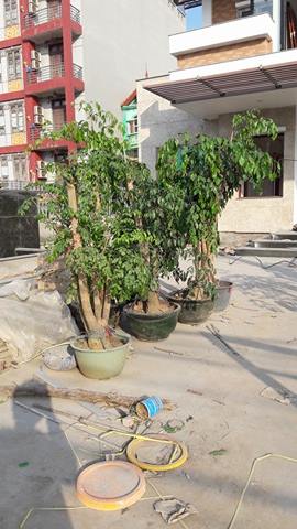 15970314_1602096343140001_1258715281_n