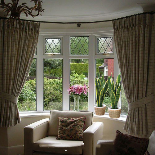 Tác dụng của cây lưỡi hổ2