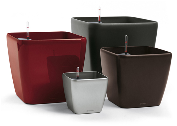 chậu cây thông minh i- basic