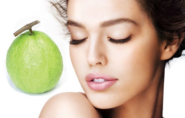 cây ổi làm đẹp