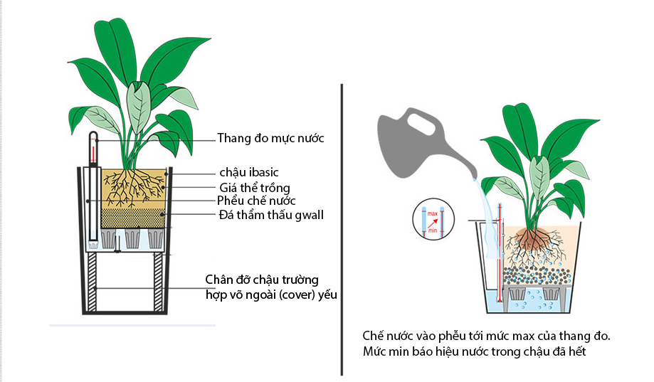 chậu cây thông minh i- basic 2