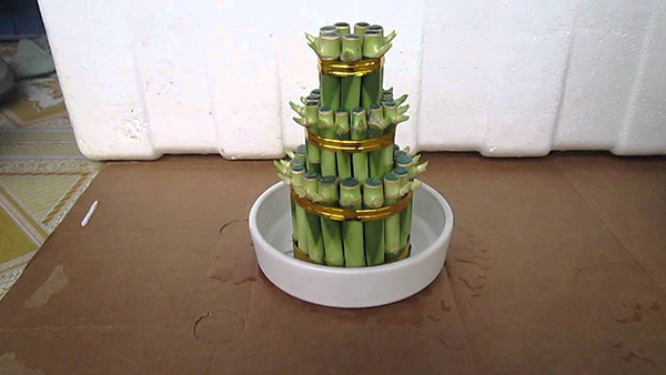 Tuổi con mèo, tuổi mão hợp với cây gì phát tài 1