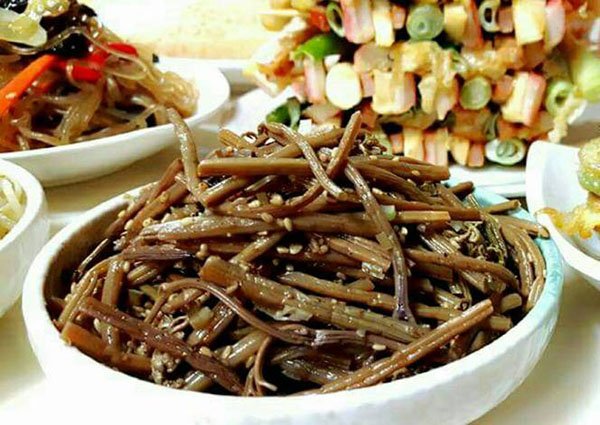 Cây dương xỉ chữa bênh gì4