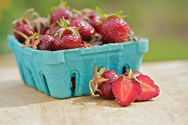 dâu tây siêu ngọt2