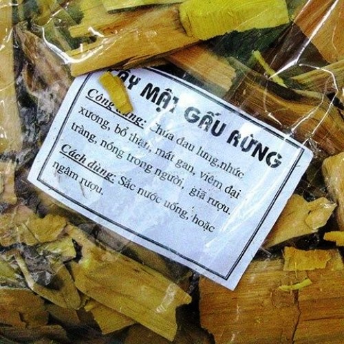 Cây mật gấu4