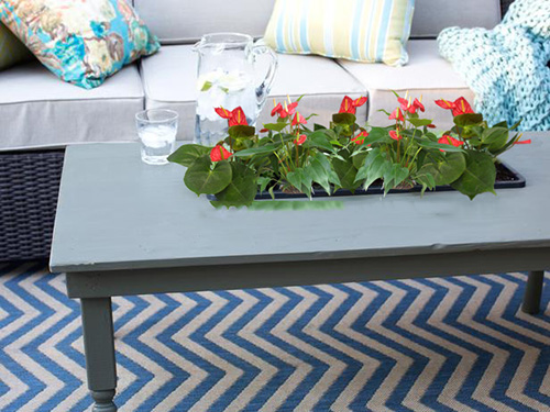 cây trồng trong phòng khách6