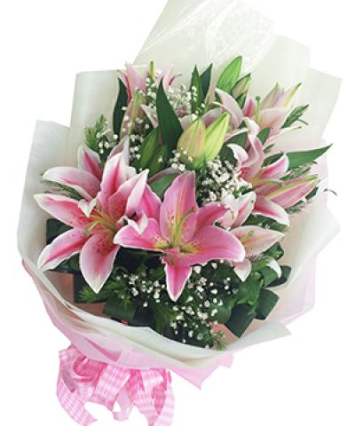 Những loài hoa đẹp dành tặng thầy cô ngày 20/11