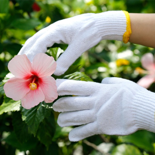 Bộ dụng cụ làm vườn cần thiết dành cho người trồng cây