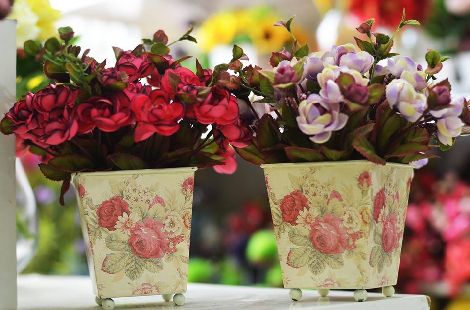 Đôi nét về các loại hoa trà đẹp