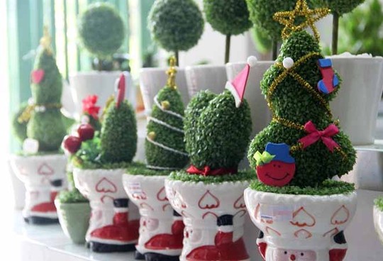 Quà noel độc đáo cây may mắn giáng sinh
