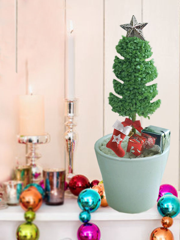 Quà noel độc đáo cây may mắn giáng sinh