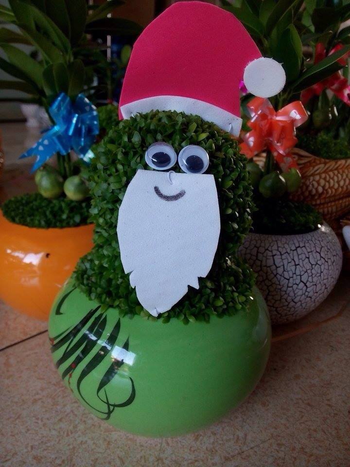 Quà noel độc đáo cây may mắn giáng sinh
