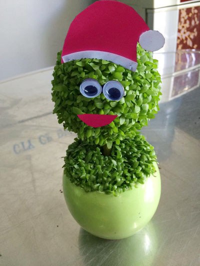 Quà noel độc đáo cây may mắn giáng sinh