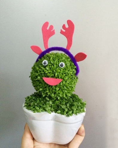 Quà noel độc đáo cây may mắn giáng sinh