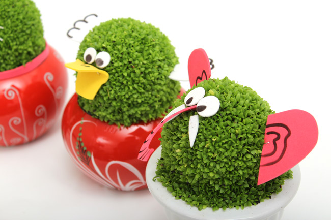 Quà noel độc đáo cây may mắn giáng sinh