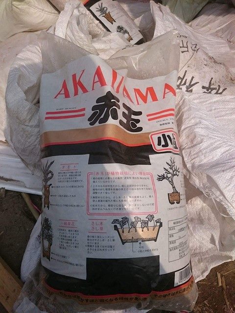 dat-trong-xuong-rong