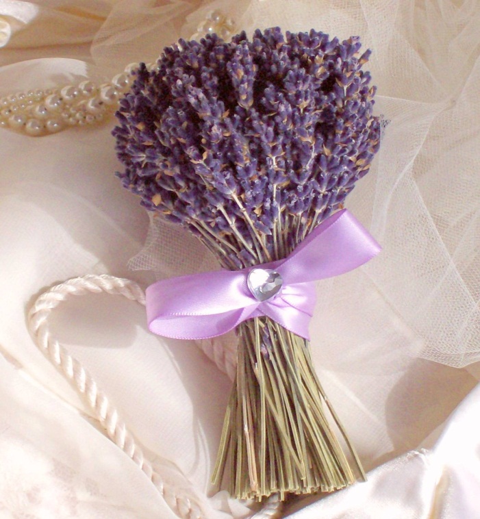 Hoa oải hương khô quà cho ngày Valentine thêm ý nghĩa