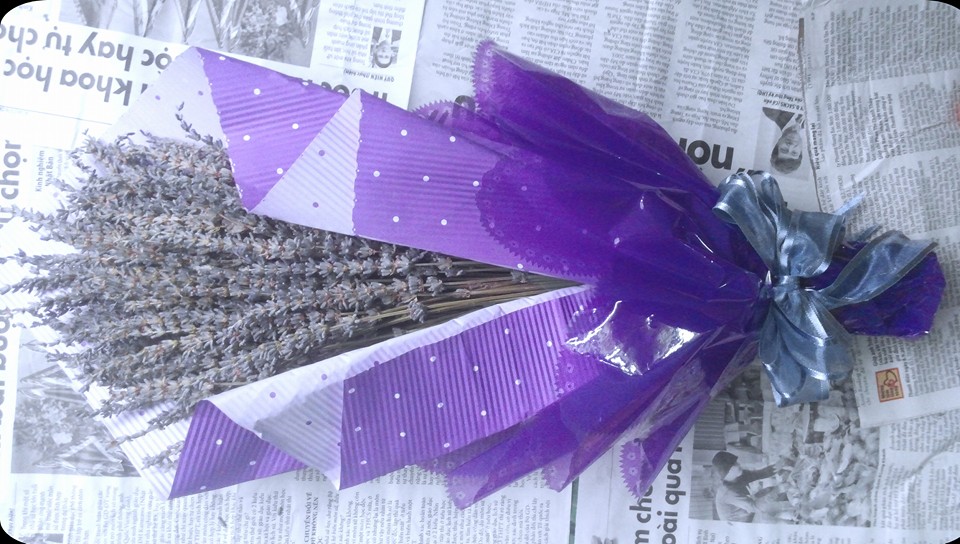 Hoa oải hương khô quà cho ngày Valentine thêm ý nghĩa