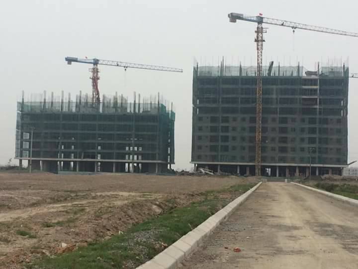 thi-cong-du-an-thanh-ha