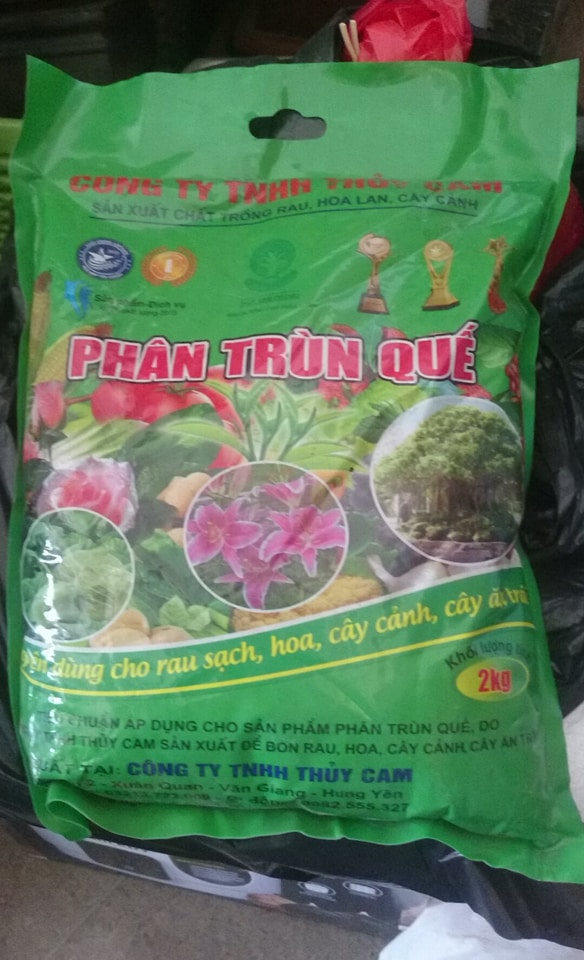 21325970_977354362404717_468570344_n