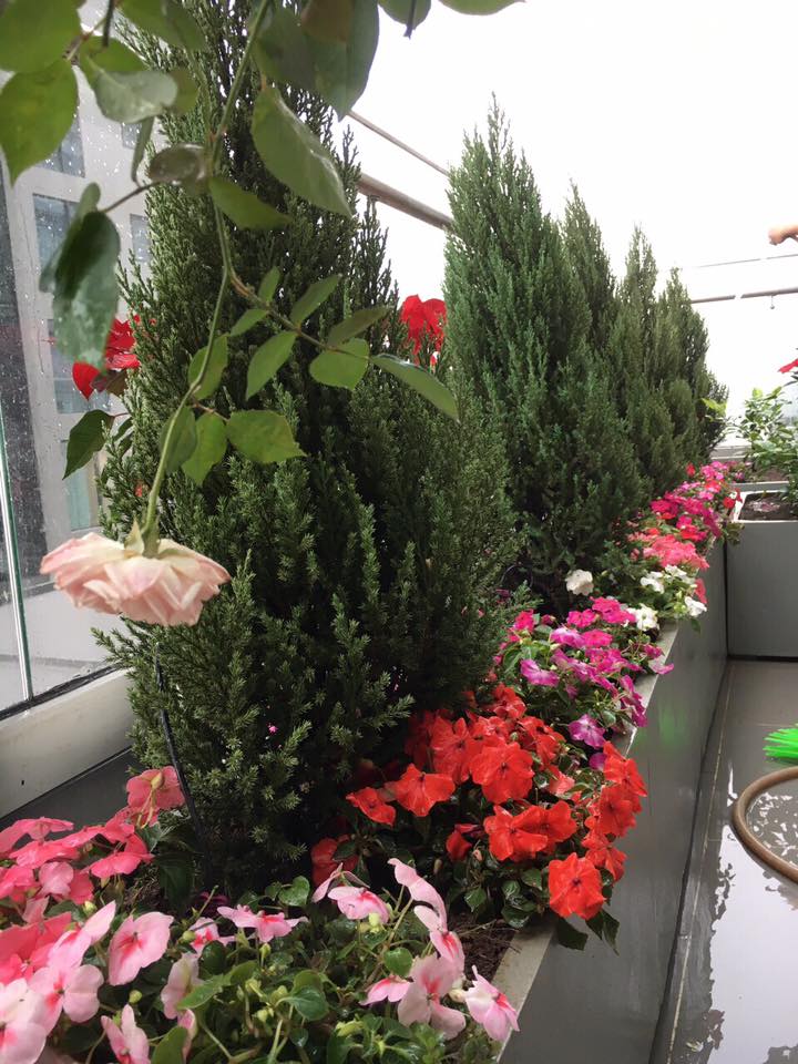 ban công Grand City