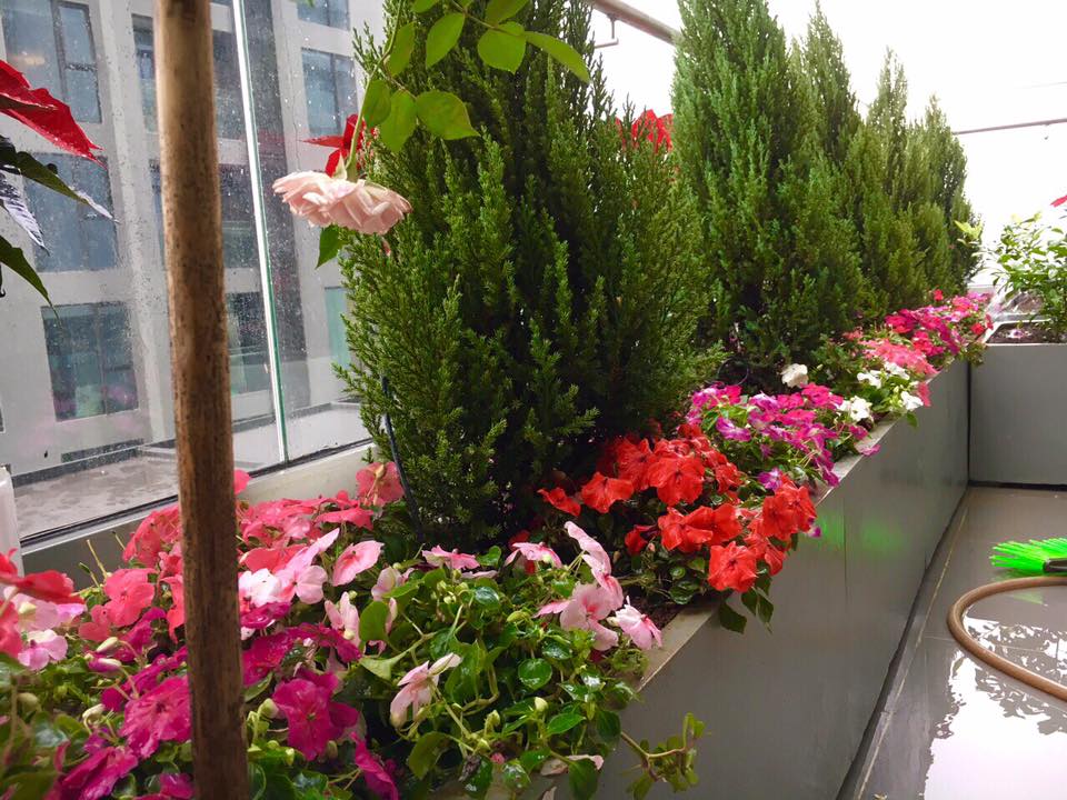 ban công Sun Grand City 3