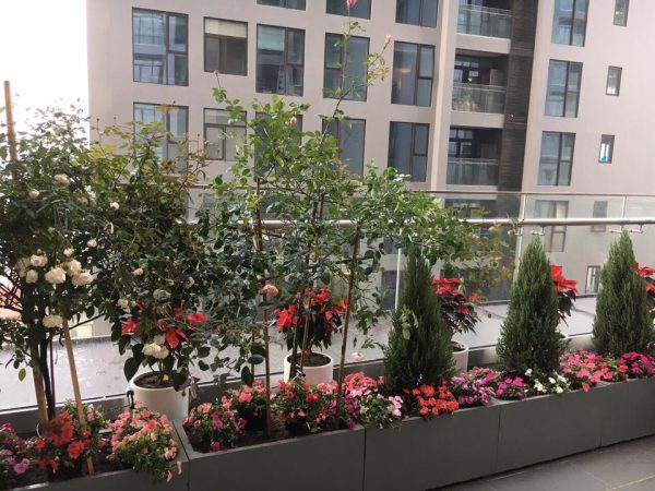 Mẫu Thiế Kế Ban Công Chung Cư SUN GRAND CITY