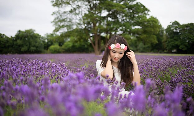 Cay-hoa-oai-huong-thao-moc-thieng-lieng-giua-mua-he-2