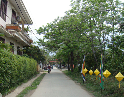 La-ai-thi-cung-nen-biet-ve-nguon-goc-cua-cay-xoan-2