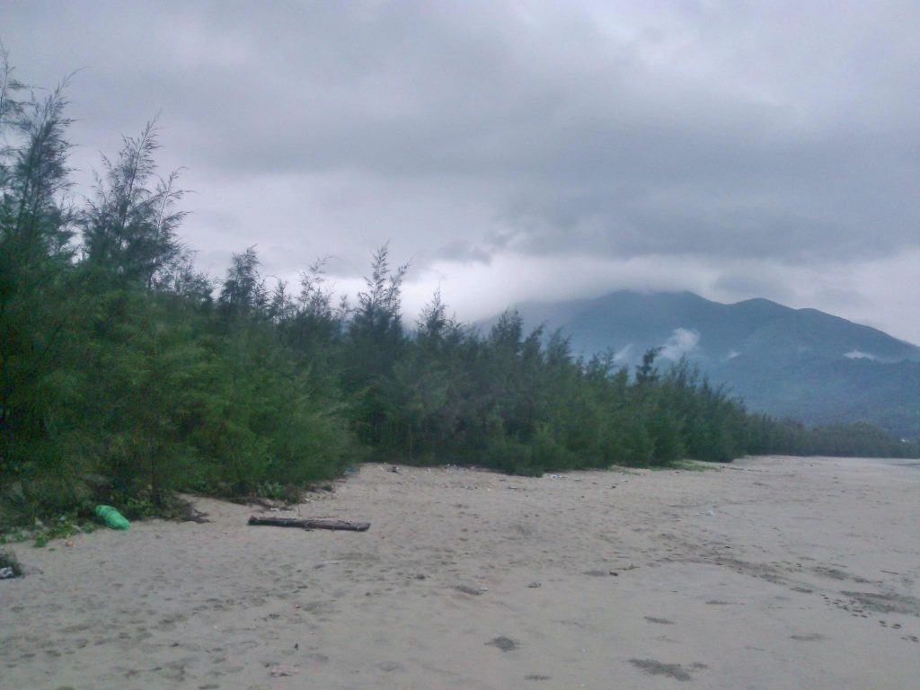 Su-that-ve-cay-phi-lao-ma-ban-chua-biet-2